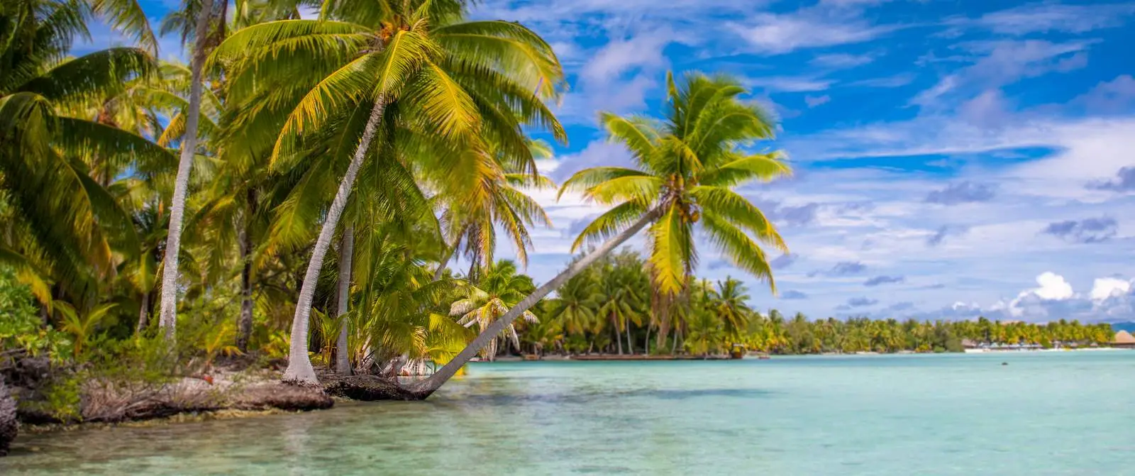 ile-bora-bora-jetboard-tour